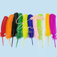 Accessoire de Carnaval Plumes de Dindon 25-30-35cm pour Costume de Danse du Carnaval du Brésil, Coiffe et Sac à Dos