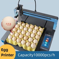 Machine de codage automatique à jet d'encre pour la date d'expiration des œufs de boulangerie de qualité alimentaire, avec moteur et roulement, haute capacité 10000 pièces/heure