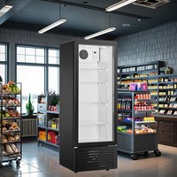 Réfrigérateur vertical à une porte LC-230, refroidisseur de boissons, réfrigérateur commercial, vitrine réfrigérée avec porte en verre, éclairage LED