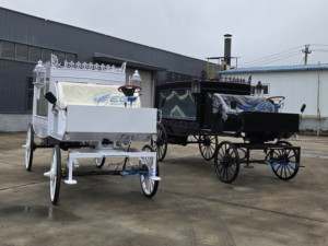 2025 blanco y negro Vintage dibujado por caballos boda turismo princesa carruaje horseless Royal carro eléctrico para la venta - Product Image 5