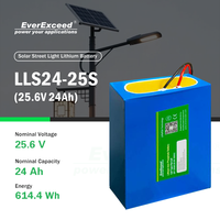 Baterai Lithium Ion LiFePO4 Aman dan Handal dengan Perlindungan BMS Cerdas 24Ah 6000 Siklus untuk Lampu Jalan dan Penyimpanan Energi Grid