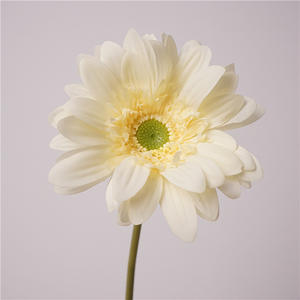 Decoración para el Hogar al por Mayor, Piezas Decorativas de Mesa, Rama Individual de Gerbera de Látex, Flor Artificial de Tacto Real, Gerbera Blanca - Product Image 4