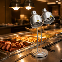 Lampe chauffante électrique pour buffet, double tête, col de cygne réglable, pour restaurant, cafétéria, service de viande et de steak