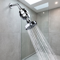 Filtre de douche à charbon actif en ABS brossé à 25 étapes avec filtration haute pression, emballage personnalisé en boîte couleur, garantie 1 an