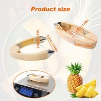 Ananas-oogverwijderaar Roestvrij staal Multifunctionele zaadverwijderaar Clip Aardbeien Groenten Fruit Ogen Verwijderingsgereedschap