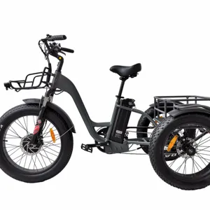 QUEENE/24 بوصة 48V500W/ثلاثة عجلة الدهون الاطارات دراجة ثلاثية العجلات الكهربائية دواسة مساعدة دراجة كهربائية ثلاثية العجلات