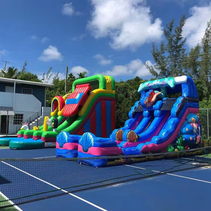 Castillo Inflable de Alta Calidad con Diseño Personalizado, Casa de Brinco para Niños y <span class=keywords><strong>Adultos</strong></span>, Toboganes Inflables, Diversión con Brincolines, 7x4m, Portátil - Product Image 1