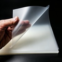 Plaques en plastique transparentes professionnelles en PP, PET, PVC, surfaces planes de précision, panneaux en plastique pour pochettes de documents