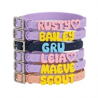 Collier et laisse pour chien personnalisables en polyester avec lettres, accessoires réglables en silicone, lettres lumineuses multi-tailles, doux pour animaux de compagnie - NOUVEAUTÉ PROMO