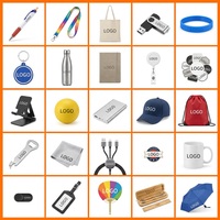 Ensemble de cadeaux promotionnels personnalisés écologiques sans BPA pour événements d'entreprise, stylos, bracelets, lanières non tissées en gros