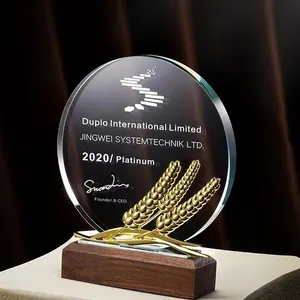 MH-NJ00707 souvenir pribadi Gif grosir kaca optik medali penghargaan kayu dasar saham kristal kosong Piala