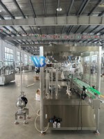 Machines de remplissage automatiques à double tête de piston et rotor, 40 BPM, pour sauces, beurre de cacahuète, pâtes, confitures, miel, ketchup en pots