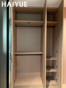 <span class=keywords><strong>Armario</strong></span> Moderno de Lujo HAIYUE de Madera Maciza con <span class=keywords><strong>Espejo</strong></span> de Cuerpo Entero para Dormitorio Principal o Vestidor - Product Image 3