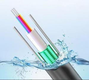 装甲光ファイバケーブル GYXTW 2/4/6/8/12/24芯 シングルモード通信ケーブル スチールワイヤー補強付き - Product Image 1