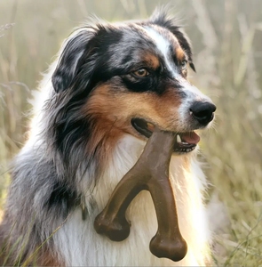 Jouet à mâcher pour chien Qbellpet Wishbone, en nylon durable de qualité alimentaire, pour les mâchoires agressives, saveur bacon, poulet, bœuf, cacahuète, bois - Product Image 5
