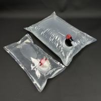 Sac en boîte de 1L à 220L pour café et vin, emballage plastique aseptique avec valve pour liquides et huile d'olive, conteneur à emporter