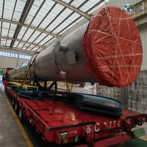 Torre di Stripping dell'Ammoniaca (Stripper) Recipiente a Pressione |   Trattamento delle Acque Reflue ad Alta Efficienza Rimozione dell'Azoto Ammoniacale 500L/Ora - Product Image 2