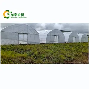 China Greenhouse Manufacturer plastic sheet greenhouse cover agricultural film greenhouse Tunnel