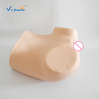 Modèle de ponction du fornice postérieur / Formation aux compétences en gynécologie, Anatomie précise + Sensation réaliste, Retour d'information correct sur la ponction