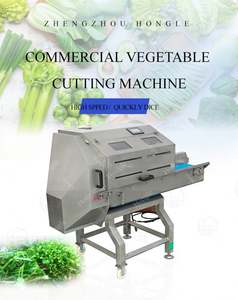 16-Machine de découpe de légumes à feuilles commerciale efficace et entièrement automatique - Product Image 4