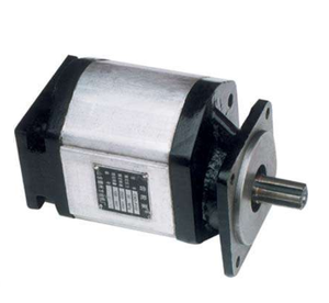 Pompe à engrenages hydraulique CBD-F (modèles CBD-F100, CBD-F80, CBD-F63, CBD-F50, CBD-F532, CBD-F525, CBD-F518, CBD-F510) pour camion – Offre Spéciale - Product Image 1