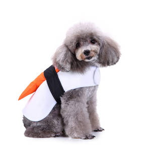 Fantasia de Cão de Algodão com Estampa de Sushi de Salmão Engraçada para Halloween Cosplay Tamanho Médio Atacado Roupas para Cães - Product Image 2