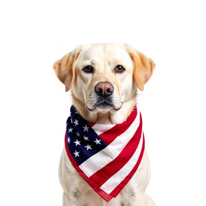 Pañuelo Reversible de Algodón Patriótico <span class=keywords><strong>para</strong></span> Mascotas, Perros y Gatos, Lavable y Ajustable, <span class=keywords><strong>para</strong></span> el Día de San Juan Bautista - Product Image 1
