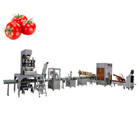 Yoursjoys Tomatenpuree Lijn Volledig Automatische Fruit- en Groenteverwerking Multi-Voltage (110/220/380V) 1 Jaar Garantie 500kg