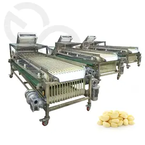 البطاطس/الثوم/الكراث آلة الفرز | ماكينة فرز الفاكهة | آلة الفرز بصلة صغيرة آلة الفرز