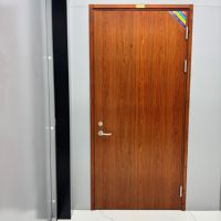 Porte coupe-feu en métal creux conforme aux normes des bâtiments commerciaux avec finition de peinture en spray bois réaliste, porte résistante au feu