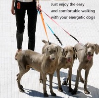 Laisse pour chien personnalisée en néoprène, souple, durable, absorbant les chocs, pour la course et la marche, avec poignée, OEM sur mesure, vente en gros