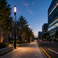 Lampe de jardin LED moderne en gros, étanche pour l'extérieur, idéale pour l'éclairage de villas, cours, paysages et allées