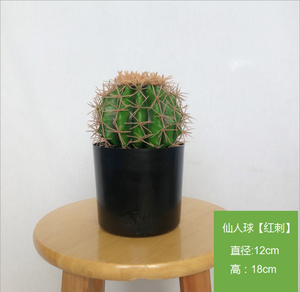 Grande <span class=keywords><strong>boule</strong></span> de <span class=keywords><strong>cactus</strong></span> artificielle en plastique Echinopsis Tubiflora Bonsaï pour décorations de mariage - Product Image 4