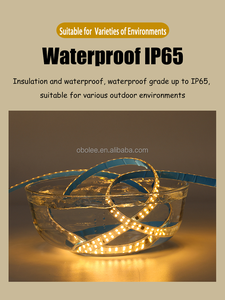 Double Row LED Strip Light Bar Flexible SMD2835 Chip 180leds/m IP67 Waterproof Outdoor Underwater <b>RGB</b> Change Color Neon Lamp - Product Image 3