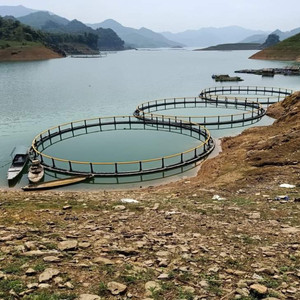 อุปกรณ์ศูนย์วิจัยทางน้ำแบบปรับแต่งได้ ตาข่ายพลาสติก HDPE ลอยน้ำสำหรับจับปลา อุปกรณ์กักจับสัตว์น้ำเวียดนาม MVINEX - Product Image 5