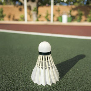 DunRun <span class=keywords><strong>DR</strong></span>-19 BWF одобренный гусиное перо бадминтон волан с пробковой головкой высокопрочный для турнирных соревнований - Product Image 2