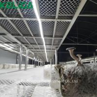 Fabricant spécialisé dans les serres tunnel pour la culture des champignons