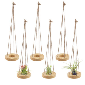 Étagère <span class=keywords><strong>en</strong></span> <span class=keywords><strong>bois</strong></span> 6 pièces support de <span class=keywords><strong>plante</strong></span> d'air <span class=keywords><strong>en</strong></span> <span class=keywords><strong>bois</strong></span> suspendu-3.1 "cintre de <span class=keywords><strong>plante</strong></span> d'air <span class=keywords><strong>en</strong></span> <span class=keywords><strong>bois</strong></span> de pin rond avec des cordes de jute support de <span class=keywords><strong>plante</strong></span> d'air - Product Image 6