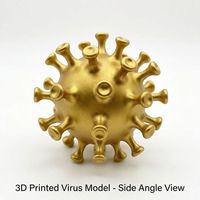 Modelo de Virus Impreso en 3D, Modelo de Coronavirus Dorado, Modelo Educativo de Resina para Exhibición Científica