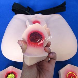 Drucks ch merzen Pflege modell Stage Bedsore Lehr modell - Product Image 2