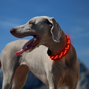 Suave recargable LED perro y gato <span class=keywords><strong>Collar</strong></span> Durable poliéster alta visibilidad bordado arte cuerda diseño estilo clásico patrón sólido - Product Image 1