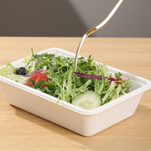 Cajas de Comida Clásicas Blancas Ecológicas Desechables de Bagazo Hechas a Medida al por Mayor, 650ml, Rectangulares, Biodegradables - Product Image 2