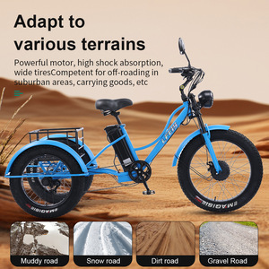 WOWI Triciclo Eléctrico Cheetah de 24 Pulgadas con Motor, Asistencia al Pedaleo, Neumáticos Gruesos, Carrocería Abierta, Carga Útil de 200-300 kg, <span class=keywords><strong>12V</strong></span> - Product Image 5