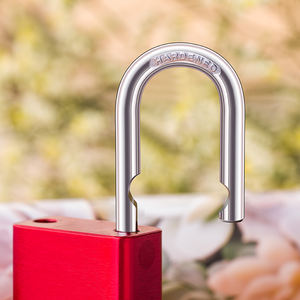 Candado de Seguridad Reforzado de Aleación de Aluminio Antirrobo con Teclado, Color Rojo/Verde, Venta al Por Mayor de Fábrica - Product Image 4