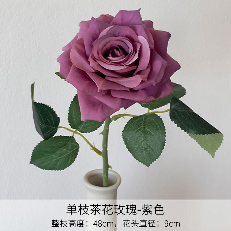 Purple single branch camellia rose