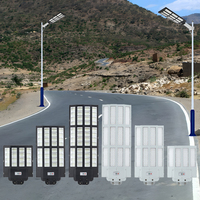 IP65 a évalué le système d'éclairage solaire de LED pour des rues de pâturages de fermes avec le corps de lampe d'ABS