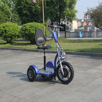 Scooter eléctrico de movilidad de 3 ruedas portátil de la mejor calidad, E-Trike, batería de plomo-ácido de 48V, viaje para discapacitados, modelo de 150kg, 2017