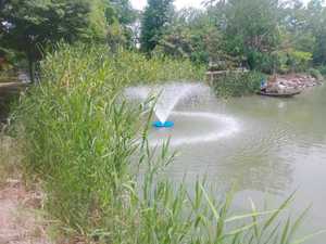 เครื่องเติมอากาศแบบลอยน้ำพลังงานแสงอาทิตย์สำหรับบ่อปลาขนาด 3 นิ้ว แรงดันต่ำ 60 โวลต์ 750 วัตต์ คุณภาพเยี่ยมสำหรับการเพาะเลี้ยงสัตว์น้ำ - Product Image 5