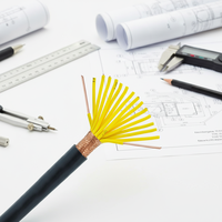 Câble de commande flexible 450/750V, conducteur en cuivre multibrins, fil électrique isolé en PVC pour le contrôle de l'éclairage
