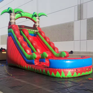 Glissière gonflable extérieure de partie d'enfants d'arrière-cour de glissière d'eau avec la piscine - Product Image 1